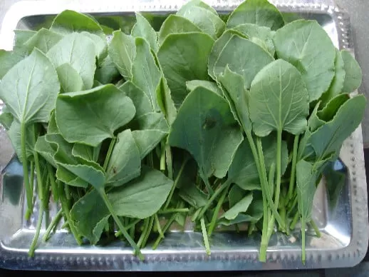 Ambat Chuka (आंबटचुका) 